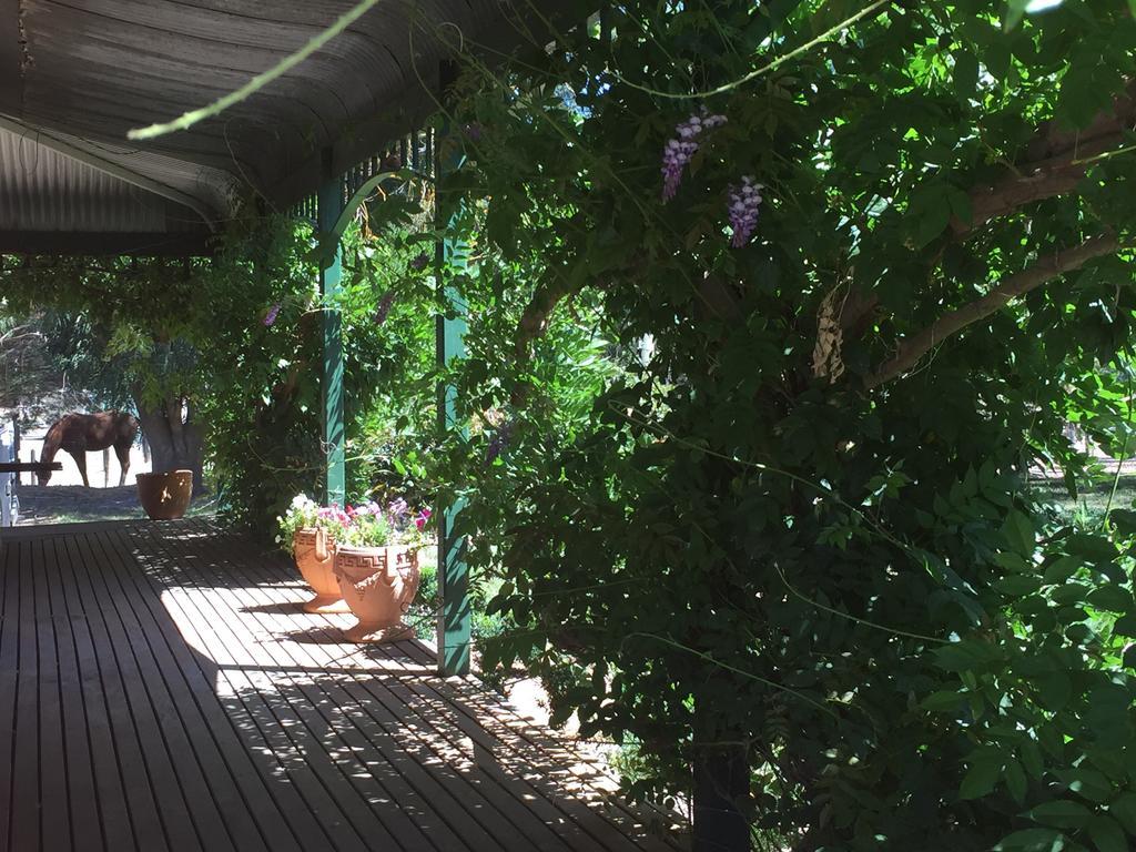 Birchwood Cottage Yarck ภายนอก รูปภาพ