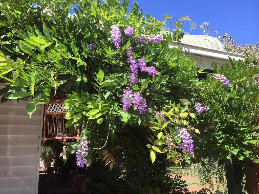 Birchwood Cottage Yarck ภายนอก รูปภาพ